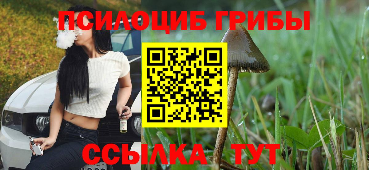 Ульяновск  Псилоцибиновые грибы MAGIC MUSHROOMS  цены   Вход с VPN 